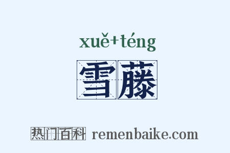 雪藤是什么意思的图片